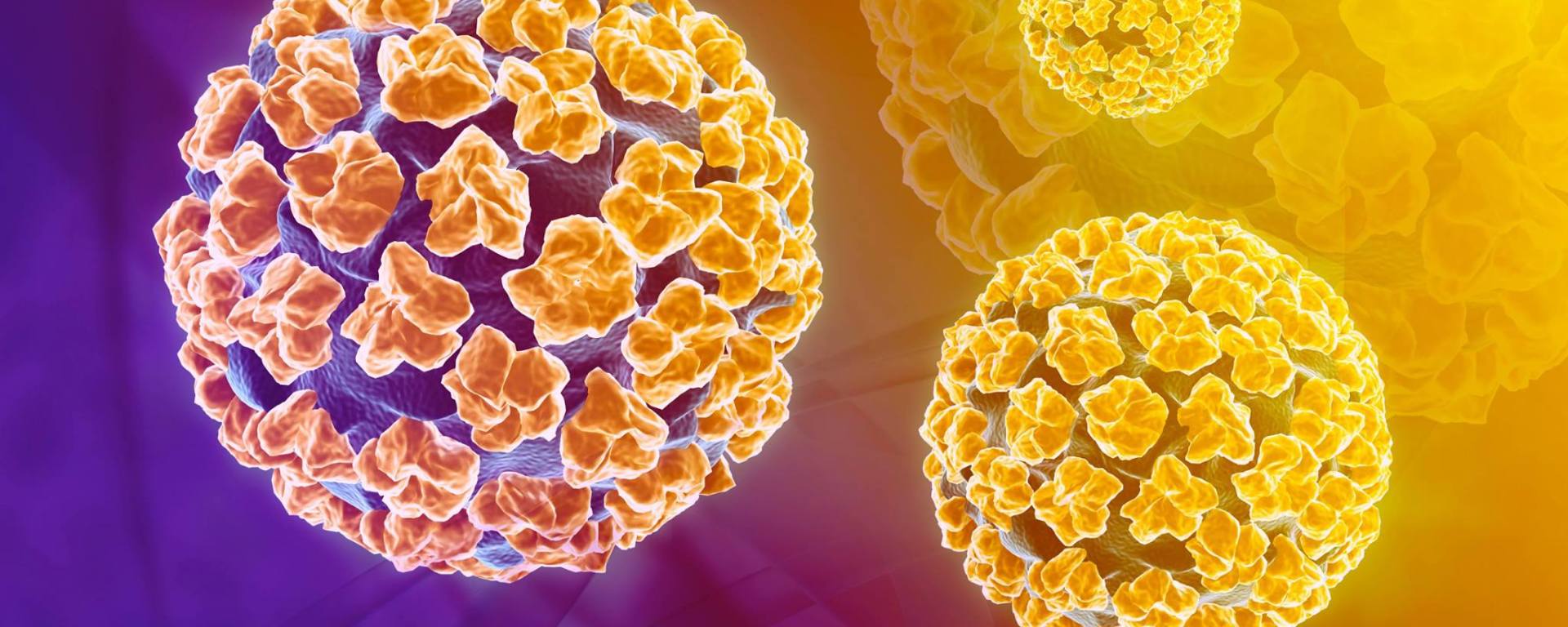 HPV – nguyên nhân chính gây bệnh sùi mào gà